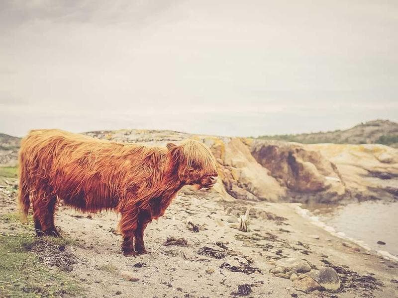 Пляжный отдых